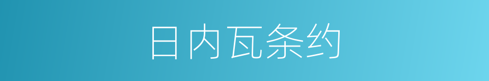 日内瓦条约的同义词