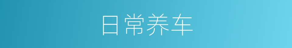 日常养车的同义词