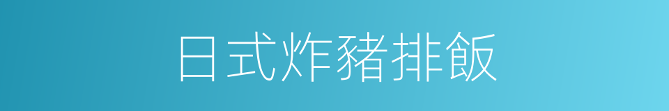 日式炸豬排飯的同義詞