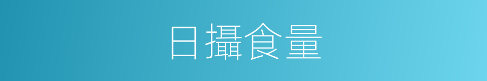 日攝食量的同義詞