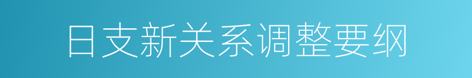 日支新关系调整要纲的同义词