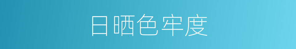 日晒色牢度的同义词