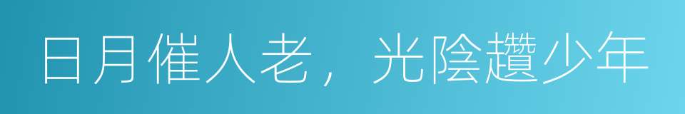 日月催人老，光陰趲少年的同義詞