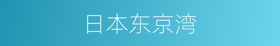 日本东京湾的同义词