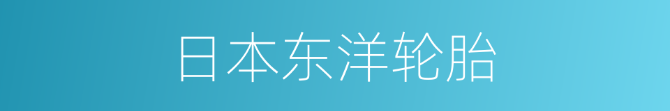 日本东洋轮胎的同义词
