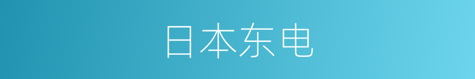 日本东电的同义词