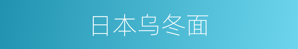 日本乌冬面的同义词