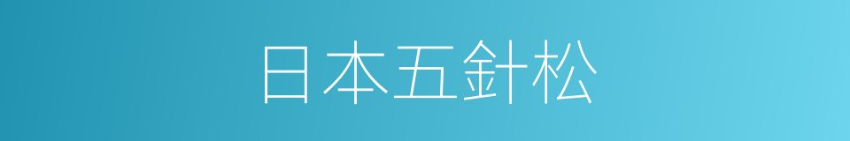 日本五針松的同義詞