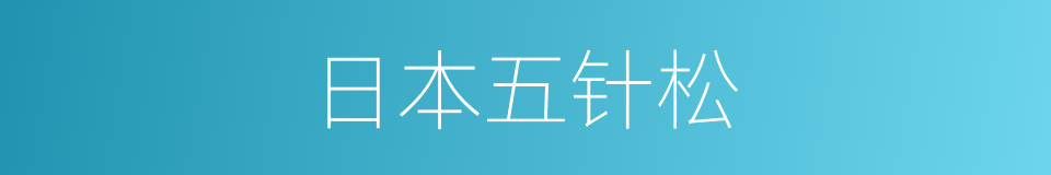 日本五针松的同义词