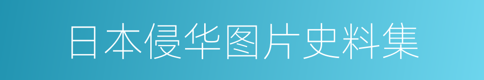 日本侵华图片史料集的同义词