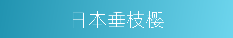 日本垂枝樱的同义词