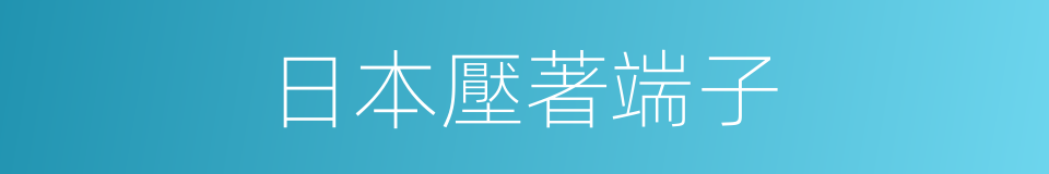 日本壓著端子的同義詞