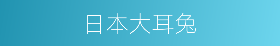 日本大耳兔的同义词