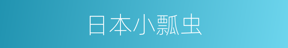 日本小瓢虫的同义词