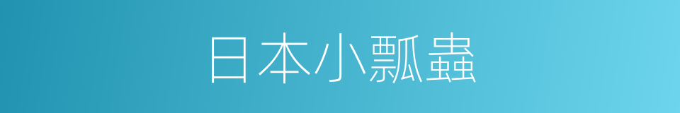 日本小瓢蟲的同義詞