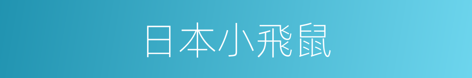 日本小飛鼠的同義詞