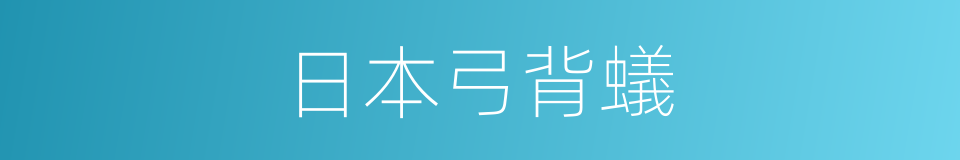 日本弓背蟻的同義詞