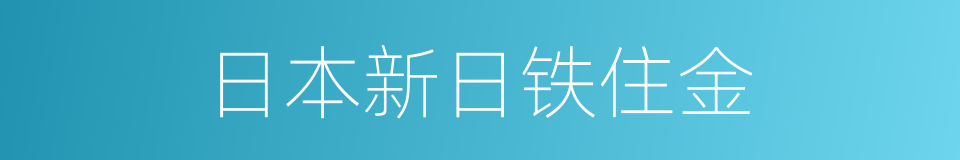 日本新日铁住金的同义词