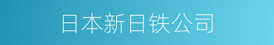 日本新日铁公司的同义词