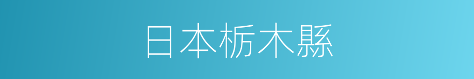 日本栃木縣的同義詞