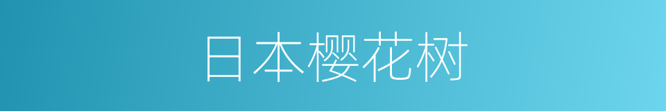 日本樱花树的同义词