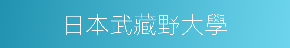 日本武藏野大學的同義詞