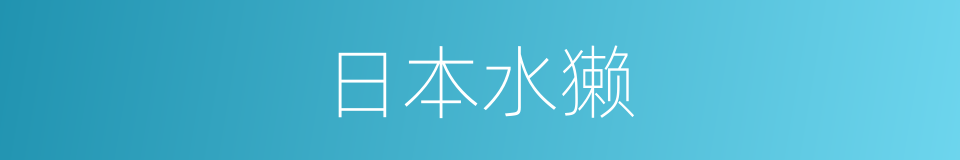 日本水獭的同义词