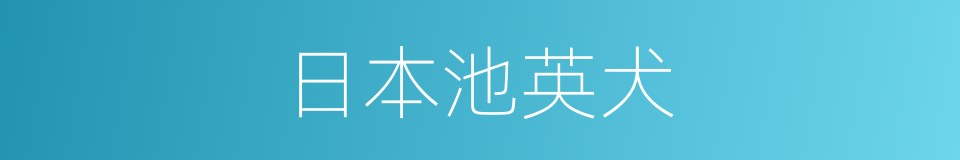 日本池英犬的同义词