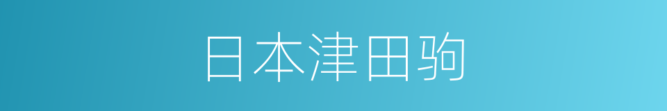 日本津田驹的同义词