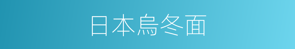 日本烏冬面的同義詞