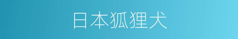 日本狐狸犬的同义词