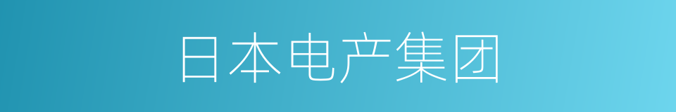 日本电产集团的同义词