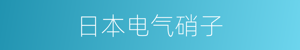 日本电气硝子的同义词