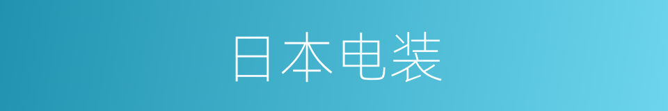 日本电装的同义词