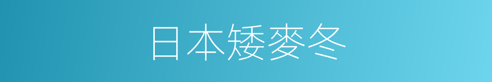 日本矮麥冬的同義詞