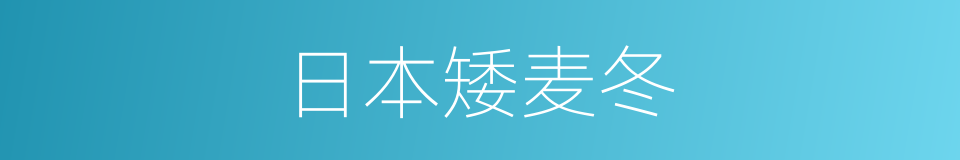 日本矮麦冬的同义词