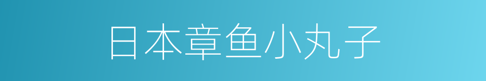 日本章鱼小丸子的同义词