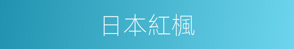 日本紅楓的同義詞