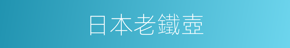 日本老鐵壺的同義詞