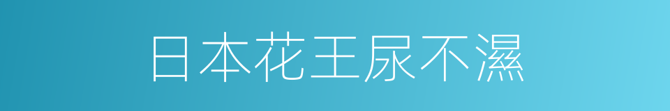 日本花王尿不濕的同義詞