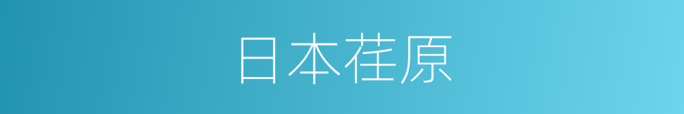 日本荏原的同义词