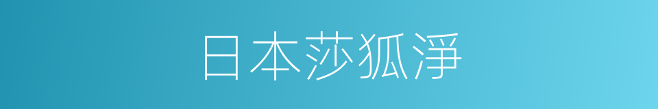 日本莎狐淨的同義詞