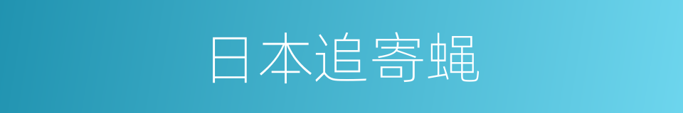 日本追寄蝇的同义词