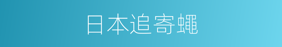 日本追寄蠅的同義詞