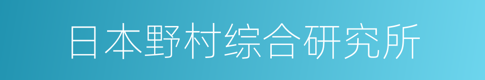 日本野村综合研究所的同义词