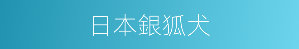 日本銀狐犬的同義詞