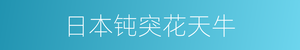 日本钝突花天牛的同义词
