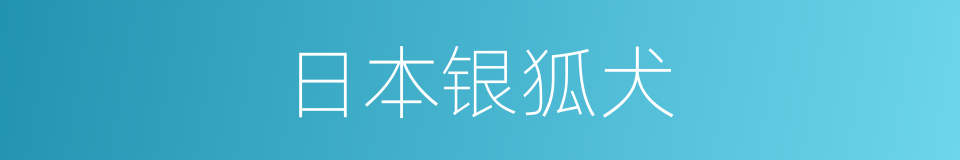 日本银狐犬的同义词