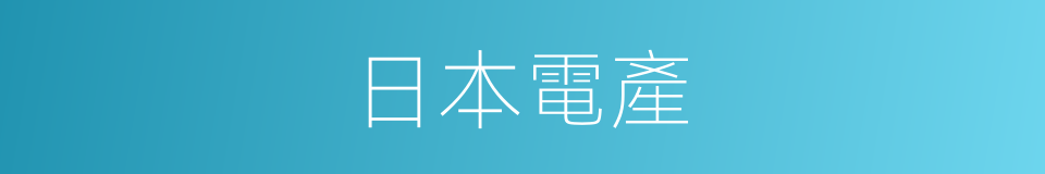 日本電產的同義詞