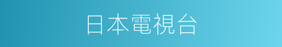 日本電視台的同義詞